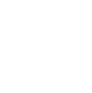 why us icon